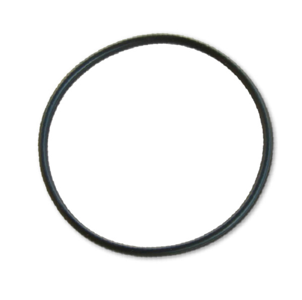 O-ring thermostat gasket