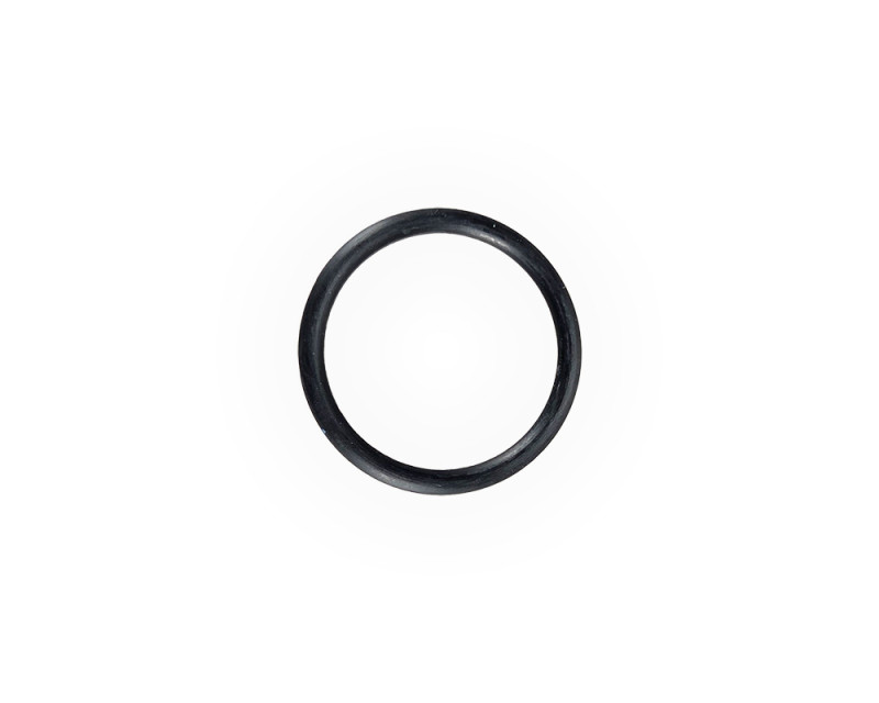 O-ring, 1AG30.0
