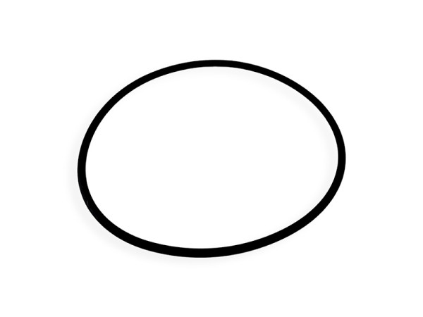 O-ring 1A G-110.0 O-ring 1A G-110.0